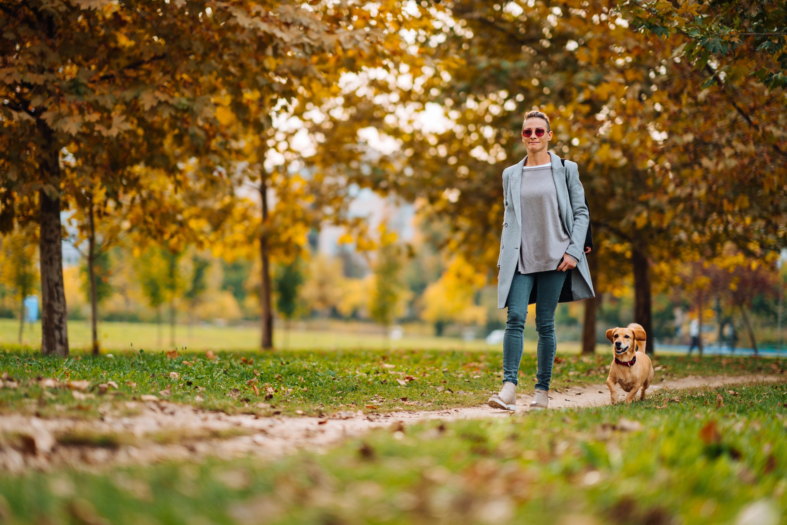 AdobeStock_296842740